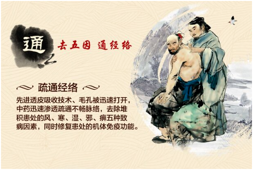 2016“南狮王”强势来袭  国家级膏药品牌真实评测